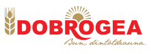 Dobrogea Grup